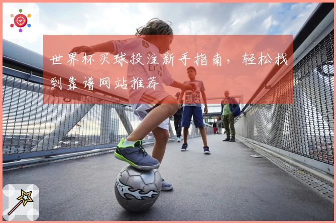 世界杯买球投注新手指南，轻松找到靠谱网站推荐