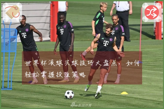 世界杯滚球买球技巧大盘点，如何轻松掌握投注策略