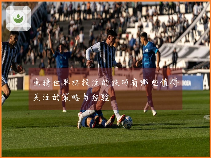 竞猜世界杯投注的技巧有哪些值得关注的策略与经验