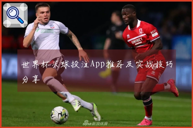 世界杯买球投注App推荐及实战技巧分享