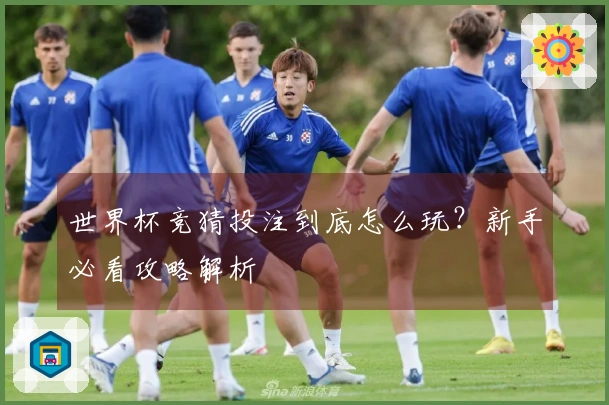 世界杯竞猜投注到底怎么玩？新手必看攻略解析