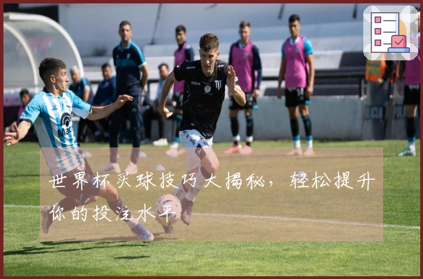 世界杯买球技巧大揭秘，轻松提升你的投注水平