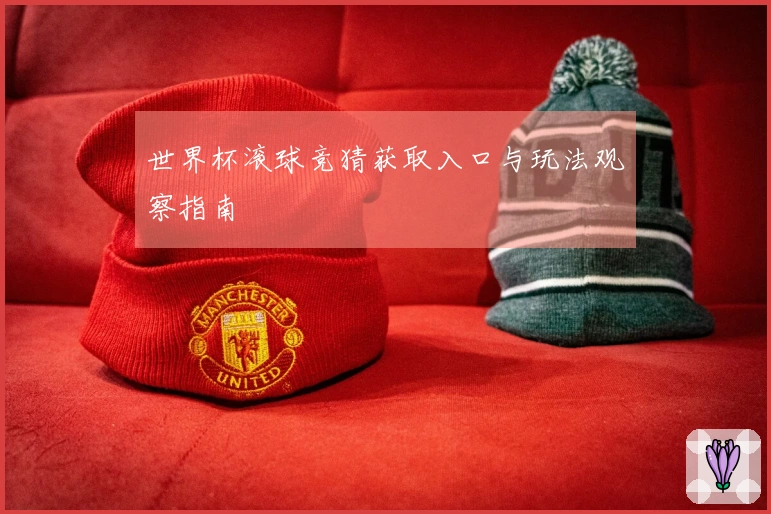 世界杯滚球竞猜获取入口与玩法观察指南
