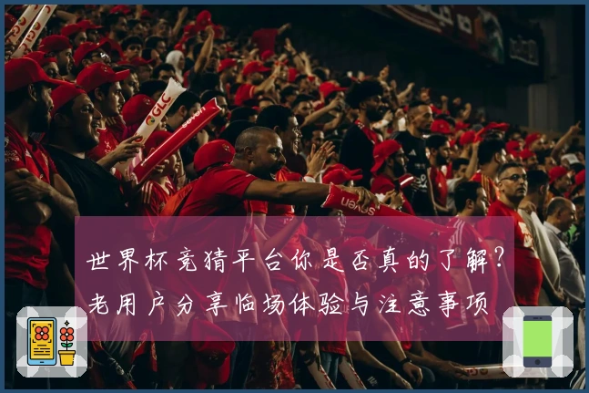世界杯竞猜平台你是否真的了解？老用户分享临场体验与注意事项