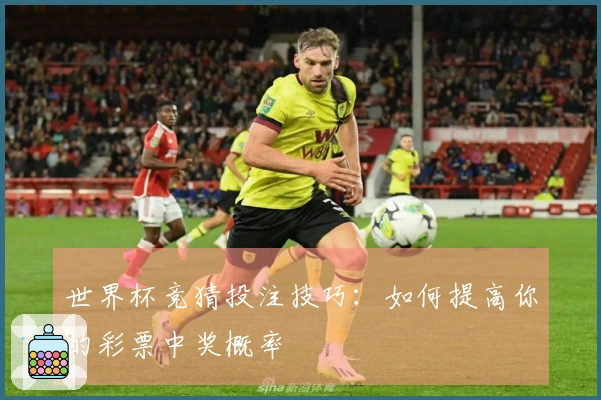 世界杯竞猜投注技巧：如何提高你的彩票中奖概率