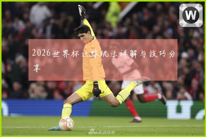 2026世界杯让球玩法详解与技巧分享