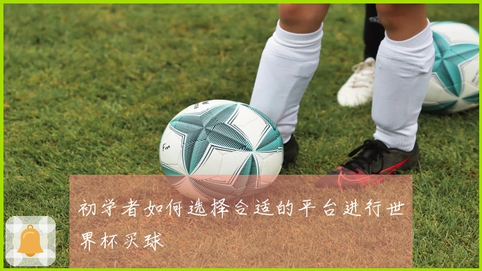 初学者如何选择合适的平台进行世界杯买球