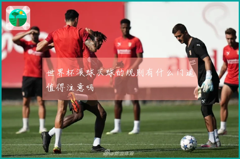 世界杯滚球买球的规则有什么门道值得注意吗