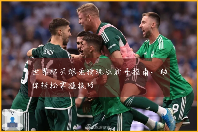 世界杯买球竞猜玩法新手指南，助你轻松掌握技巧