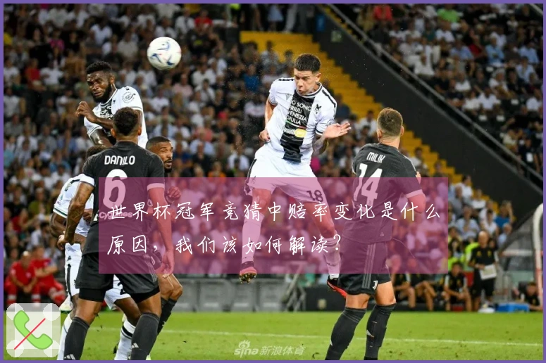 世界杯冠军竞猜中赔率变化是什么原因，我们该如何解读？