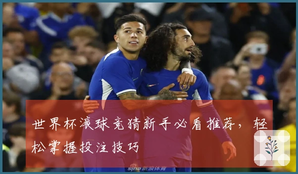 世界杯滚球竞猜新手必看推荐，轻松掌握投注技巧