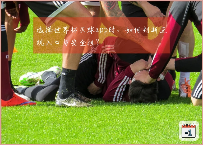 选择世界杯买球app时，如何判断正规入口与安全性？