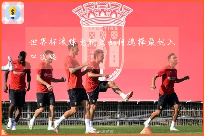世界杯滚球竞猜该如何选择最优入口攻略