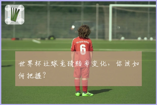 世界杯让球竞猜赔率变化，你该如何把握？
