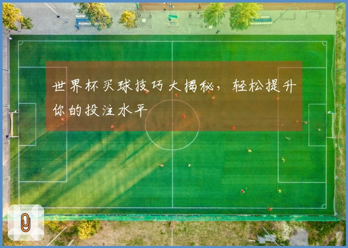 世界杯买球技巧大揭秘，轻松提升你的投注水平