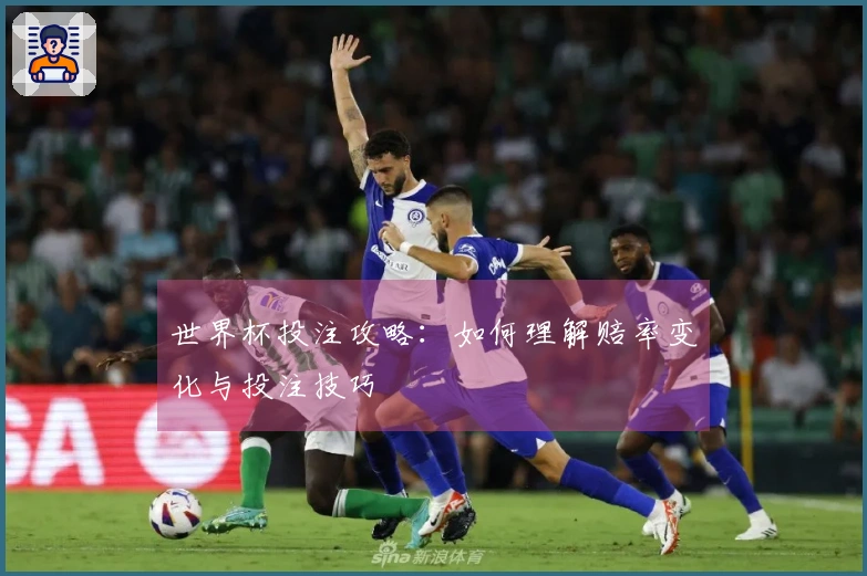 世界杯投注攻略：如何理解赔率变化与投注技巧