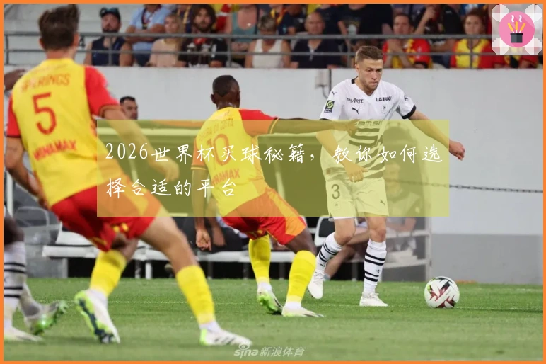 2026世界杯买球秘籍，教你如何选择合适的平台