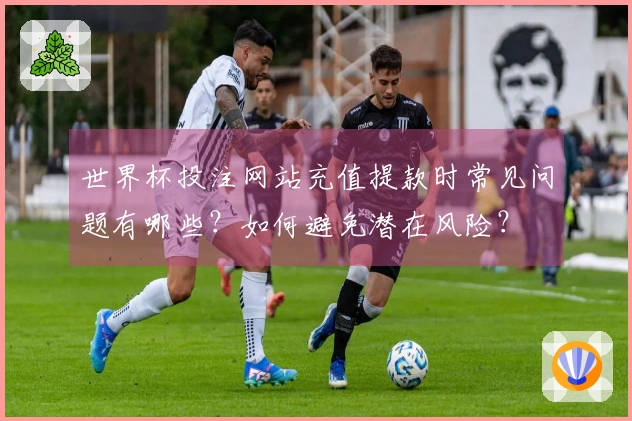 世界杯投注网站充值提款时常见问题有哪些？如何避免潜在风险？