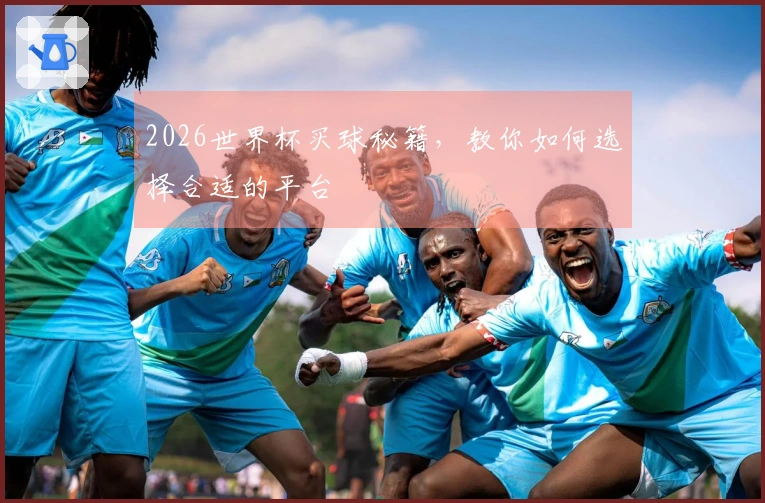 2026世界杯买球秘籍，教你如何选择合适的平台