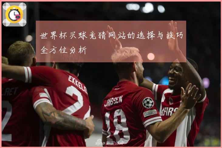世界杯买球竞猜网站的选择与技巧全方位分析