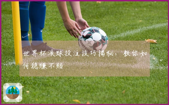 世界杯滚球投注技巧揭秘，教你如何稳赚不赔