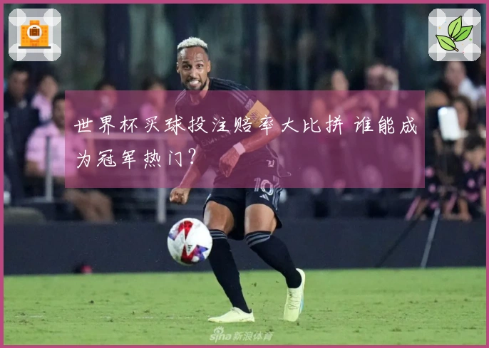 世界杯买球投注赔率大比拼 谁能成为冠军热门？